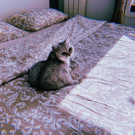 Zhe-Yi Boutique Guesthouse Pekin Dış mekan fotoğraf
